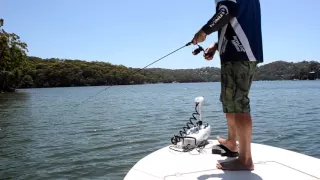 Watersnake Electrics: Quick Spin Video