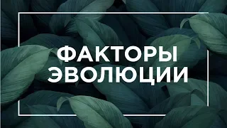 Факторы эволюции | ЕГЭ Биология | Даниил Дарвин