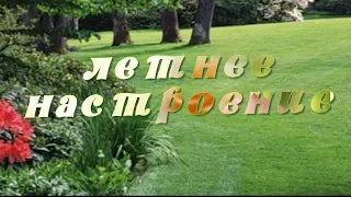 Заставка для видео  Летнее настроение. ProShowProducer