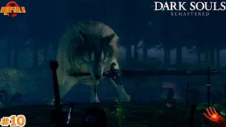 Прохождение Dark Souls Remastered за пироманта #10: Босс: Сиф, Великий Волк.