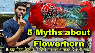 5 Myths about Flowerhorn Fish, 5 Jhoot  Flowerhorn k Jise hum Sach samajhte hain