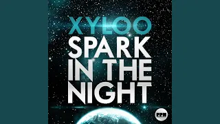 Spark in the Night (Steve Modana Mix)