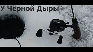 ДА СКОЛЬКО В ЭТОЙ ЛУНКЕ РЫБЫ!  СУДАК _БЁРШ  Р.ВОЛГА