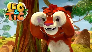 Leo and Tig 🦁 The Tree Hare - Episode 32 🐯 Funny Family Good Animated Cartoon for Kids