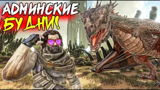 АДМИНСКИЕ БУДНИ в ARK Survival Evolved! ION ARK PvE x5 с Модами Additional Creatures 2! Ragnarok