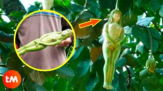 10 PLANTS You Won't Believe Exist 🍄🤯