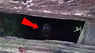 10 Scary Videos That Will Frighten You Senseless