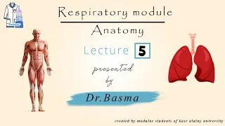 5- Respiratory (Pleura 1) Dr Basma Anatomy