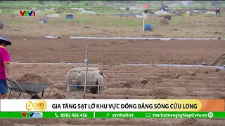 Gia tăng sạt lở khu vực Đồng Bằng Sông Cửu Long | VTVWDB