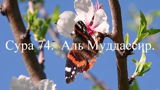 Сура 74.  Аль Муддассир.