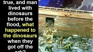 Creation Series (4 of 5): Dinosaurs and the Bible