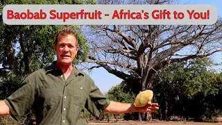 Baobab Superfruit  - Africa's Gift to You