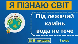 1 клас Я пізнаю світ 13-й тиждень