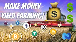 How to Degen Yield Farm and Make Money! And How to Avoid Scams!