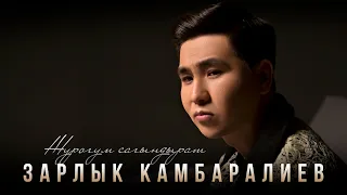 Зарлык Камбаралиев - " Жүрөгүм сагындырат " | MOOD VIDEO | 2024 |