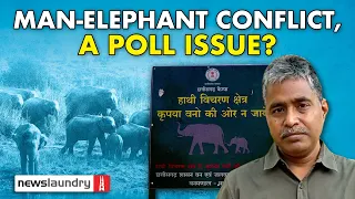 In Chhattisgarh, man-elephant conflict kills hundreds of tribals. Is it an election issue?