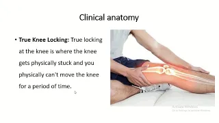 Anatomy of locking of the knee joint with clinical anatomy