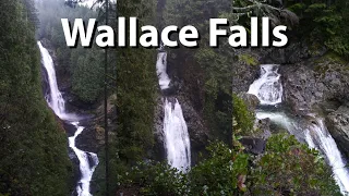 Hiking Wallace Falls - Rain, Creeks, and Waterfalls!