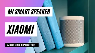 Обзор: умная колонка Xiaomi Mi Smart Speaker