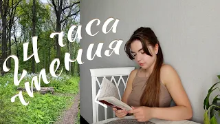 Читаю 24 часа 🤫Заповедник| Песнь пророка| Ариадна