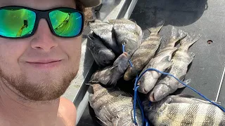 Fishing Panama City beach Jetties for Sheepshead (limits)