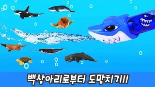 한국어ㅣ백상아리로부터 도망치기, 해양동물 이름 외우기, 어린이 동물 만화ㅣ꼬꼬스토이