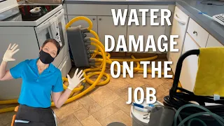 Water Damage from Broken Pipes - House Cleaner Panics