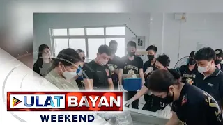 Labi ng apat na pasahero sa bumagsak na Cessna plane malapit sa Bulkang Mayon crater, narekober na