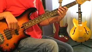 Terry Jacks - Seasons  In The Sun  - Bass Cover