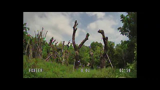 Foxeer Cat 2 Mini/Micro FPV Cam Cloudy Day Footage for reference