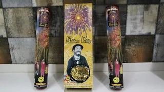 SONY FIREWORKS GOLDEN CHIP SKYSHOT TESTING||Diwali crackers testing 2020||TESTING DIWALI STASH 2020