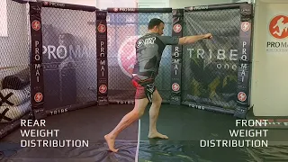 Shadow Boxing Weight Distribution Flow Drill