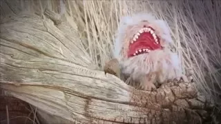 FIZZY & FRANK: Behind the Scenes Dark Crystal exposé (Fizzgig, Frank Oz)