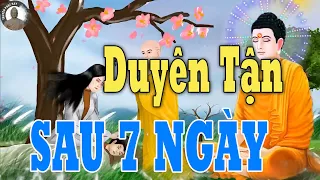 Kể Truyện Phật Hay - Bật Khóc Vì Câu Chuyện Duyên Tận Sau 7 Ngày