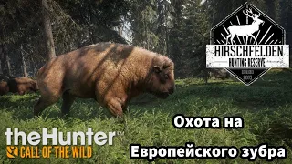 theHunter:Call of the Wild/Охота на Европейского Зубра