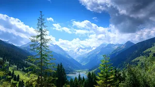 Morning Relaxing Music - Piano Music & Guitar Music with Birds Singing for Stress Relief (Kate)