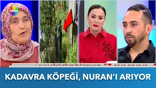 Nuran'ın kaçtığı evin etrafı aranıyor! | Didem Arslan Yılmaz'la Vazgeçme | 5.06.2024