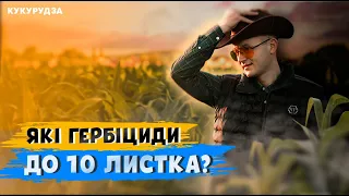 🤯ЗАРОСЛА кукурудза 🌽🌽🌽 ГЕРБІЦИДИ ДО 10 ЛИСТКА 🤘