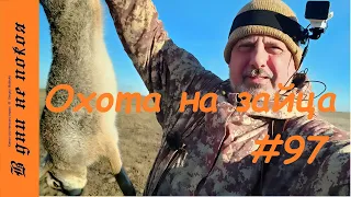 Охота на зайца. Выпуск № 97 18+