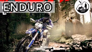 Hard Enduro. No place to run 2015. Sakhalin island, full version