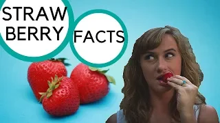 Fun Strawberry Facts!