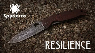 Spyderco Resilience: Лучший складной нож?