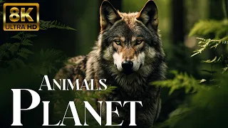 Planet Animals 8K ULTRA HD - Wild Animals of Rainforest & Nature Video UltraHD