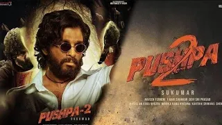 Pushpa2: The Rule Full Movie In Hindi Dubbed 2022 | Allu Arjun | Rashmika | Fahad | Story & Facts