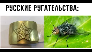 Лютые приколы. Русские ругательства про муху и бляху от ремня