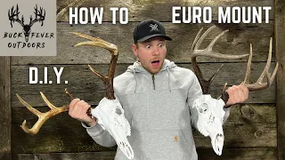 How To EURO MOUNT a DEER | Full Process For a WHITE SKULL