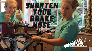 HOW TO SHORTEN A SHIMANO BRAKE HOSE | Step-by-step demonstration