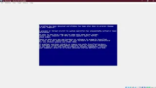 WINDOWS VISTA BSOD