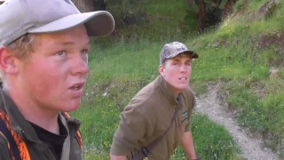 Red Deer Summer Meat Hunt NZ 2017