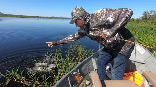 AGORA A PESCARIA FICOU BOA.   LARANJINHA, UMA DAS FORMAS DE PESCAR PACU NO PANTANAL.